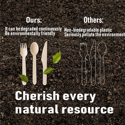 EcoWood Essentials – Sustainable Disposable Wooden Cutlery